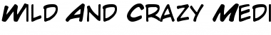 Download Wild And Crazy Medium Font Title Preview