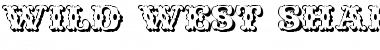Download Wild West Shadow Regular Font Title Preview