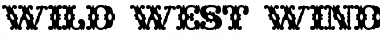 Download Wild West Wind Regular Font Title Preview