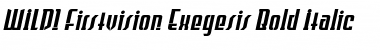 Download WILD1 Firstvision Exegesis Bold Italic Font Title Preview