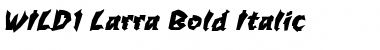 Download WILD1 Larra Bold Italic Font Title Preview