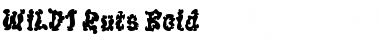 Download WILD1 Ruts Bold Font Title Preview