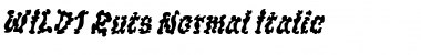 Download WILD1 Ruts Italic Font Title Preview