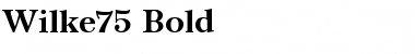 Download Wilke75 Bold Font Title Preview