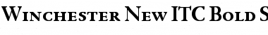 Download Winchester New ITC Bold Font Title Preview