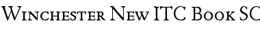 Download Winchester New ITC Book Font Title Preview