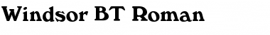 Download Windsor BT Roman Font Title Preview
