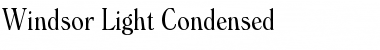 Download Windsor Light Font Title Preview