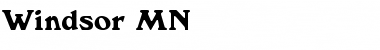 Download Windsor MN Regular Font Title Preview