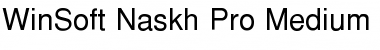 Download WinSoft Naskh Pro Medium Font