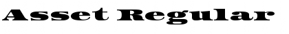 Download Asset Regular Font Title Preview