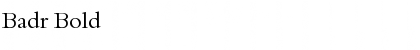 Download Badr Bold Font Title Preview