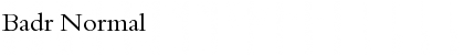 Download Badr Normal Font Title Preview