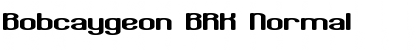 Download Bobcaygeon BRK Normal Font Title Preview