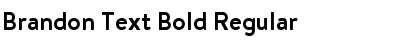 Download Brandon Text Bold Regular Font