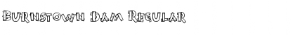 Download Burnstown Dam Regular Font Title Preview