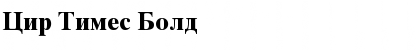 Download Cir Times Bold Font Title Preview