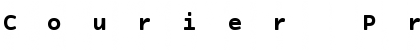 Download Courier Prime Sans Bold Font Title Preview