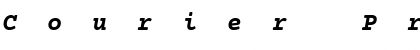 Download Courier Prime Bold Italic Font Title Preview
