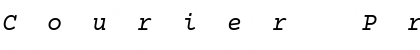 Download Courier Prime Italic Font Title Preview