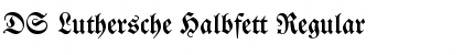 Download DS Luthersche Halbfett Regular Font Title Preview