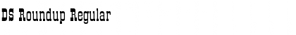 Download DS Roundup Regular Font Title Preview