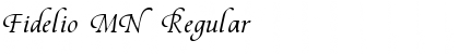 Download Fidelio MN Regular Font Title Preview