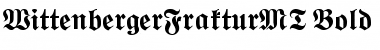Download WittenbergerFrakturMT Bold Font Title Preview