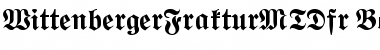 Download WittenbergerFrakturMTDfr Bold Font Title Preview
