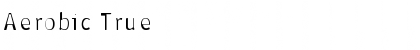 Download Aerobic True Regular Font Title Preview