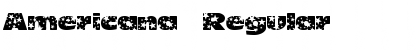 Download Americana Regular Font Title Preview