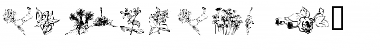 Download wmflowers2 Regular Font Title Preview