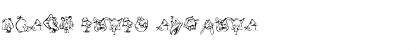 Download Birdy Slash Regular Font Title Preview