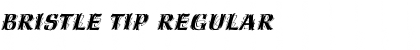 Download Bristle Tip Regular Font Title Preview