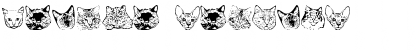 Download Feline Regular Font Title Preview