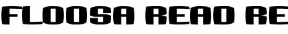Download Floosa Read Regular Font Title Preview
