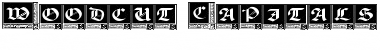 Download Woodcut_Capitals Regular Font Title Preview