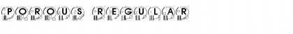 Download Porous Regular Font Title Preview