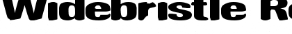 Download Widebristle Regular Font Title Preview