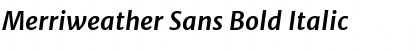 Download Merriweather Sans Bold Italic Font