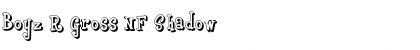 Download Boyz R Gross NF Shadow Font Title Preview