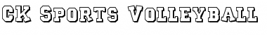 Download CK Sports Volleyball Regular Font Title Preview