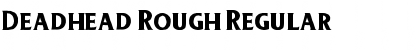 Download Deadhead Rough Regular Font Title Preview