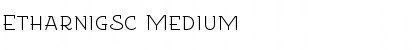Download EtharnigSc Medium Font Title Preview
