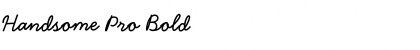 Download Handsome Pro Bold Font Title Preview