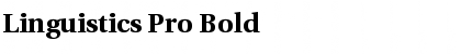 Download Linguistics Pro Bold Font Title Preview