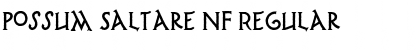 Download Possum Saltare NF Regular Font Title Preview