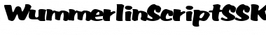 Download WummerlinScriptSSK Bold Font Title Preview