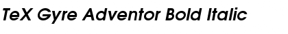 Download TeX Gyre Adventor Bold Italic Font Title Preview
