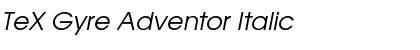 Download TeX Gyre Adventor Italic Font Title Preview
